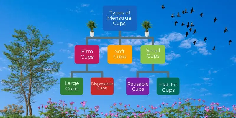 Types of menstrual cups 7 types of menstrual cups