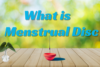What is a Menstrual Disk?  - Post Thumbnail
